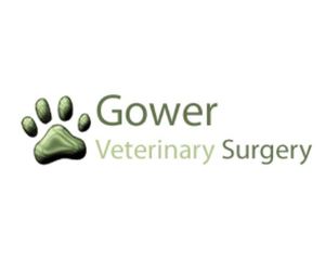 Gower Vets