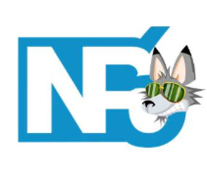 NP6 SAS