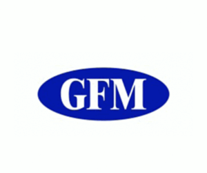 GFMesstechnik GmbH