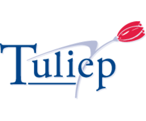Tuliep